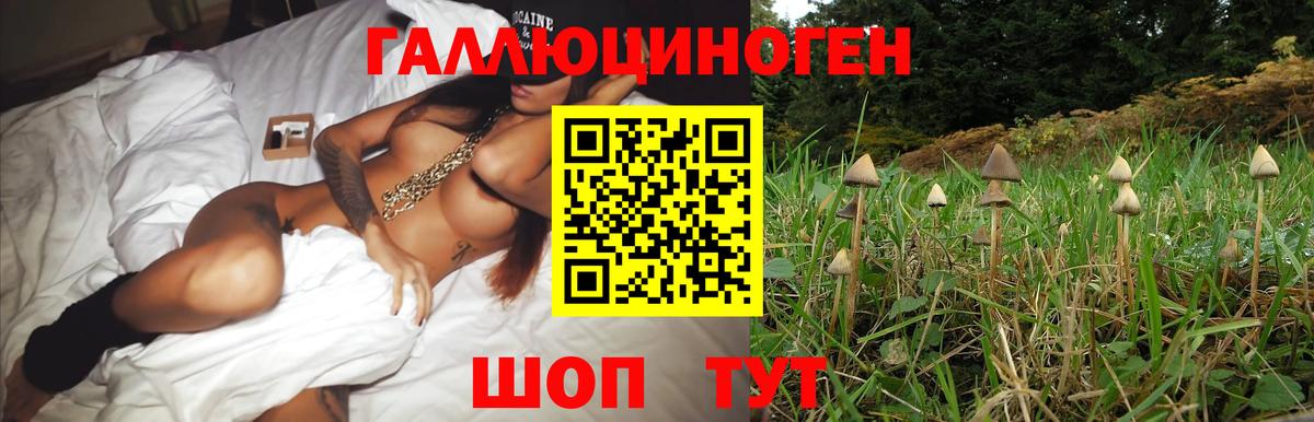 Псилоцибиновые грибы прущие грибы Самара