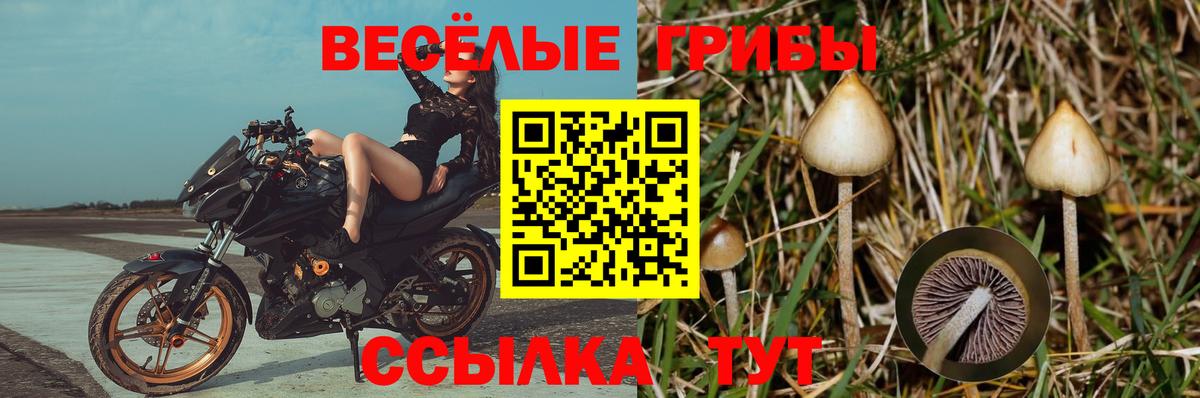 Псилоцибиновые грибы Psilocybine cubensis  Псилоцибиновые грибы мухоморы  Самара  Вход с VPN 